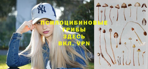 гашик Арсеньев