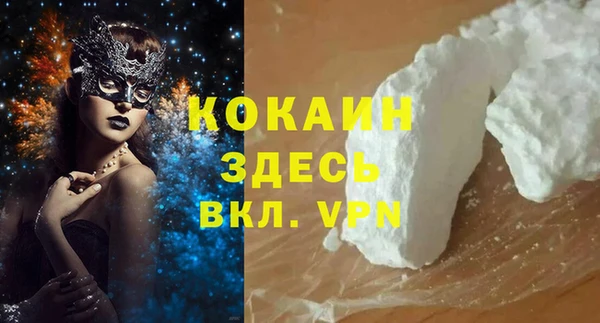 гашик Арсеньев