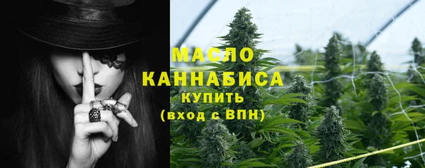гашик Арсеньев