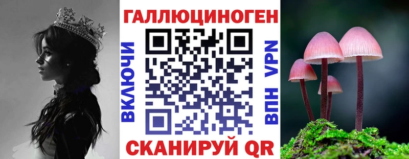 Псилоцибиновые грибы мицелий Коломна